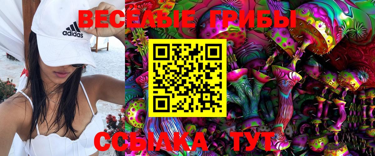 Галлюциногенные грибы Psilocybine cubensis Сертолово